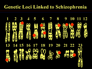 Linkage Studies and Schizophrenia